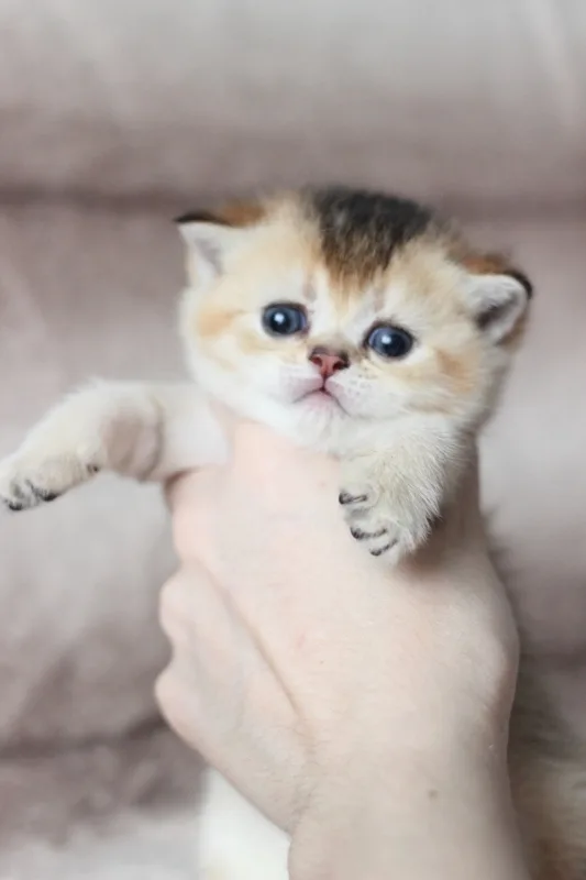 1 месяц