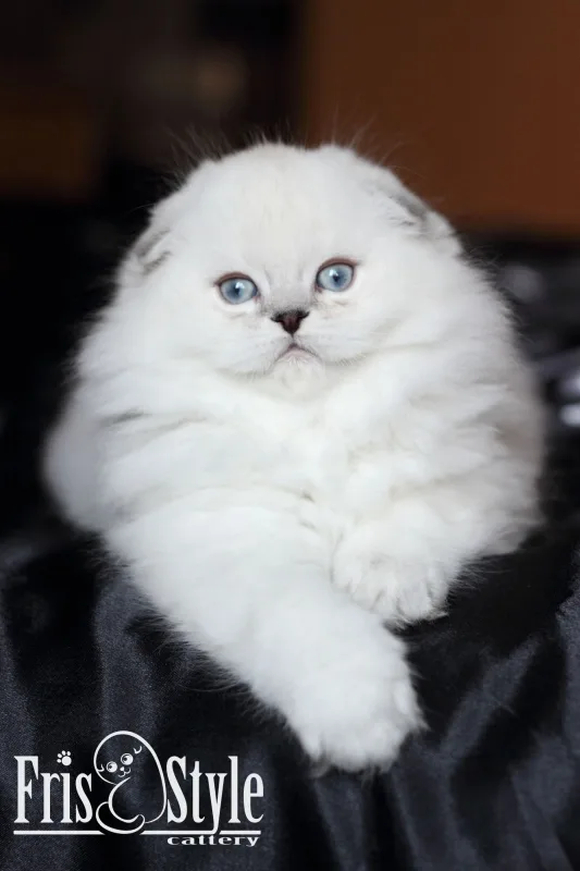 2 месяца