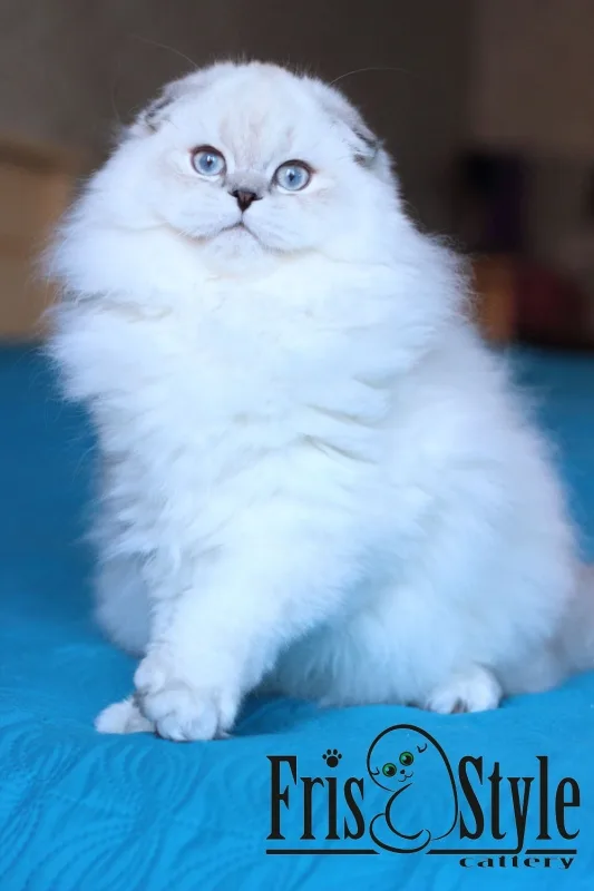 4 месяца