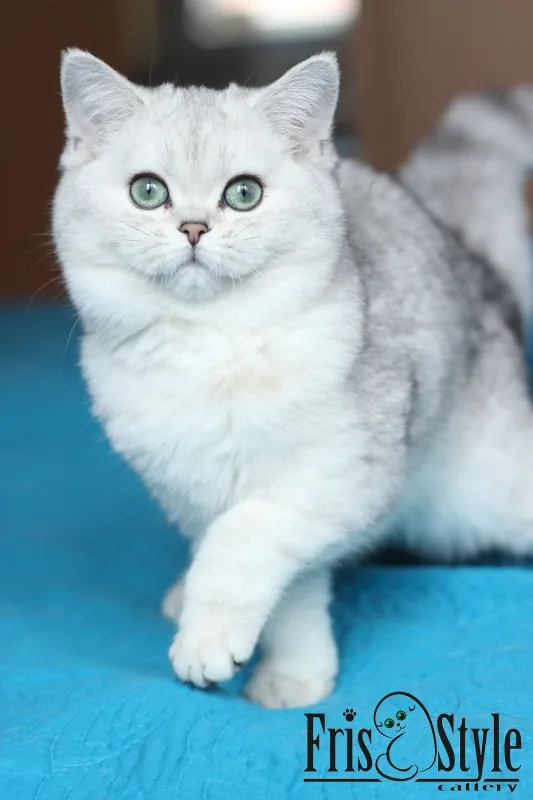 4 месяца