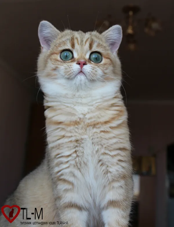4 месяца