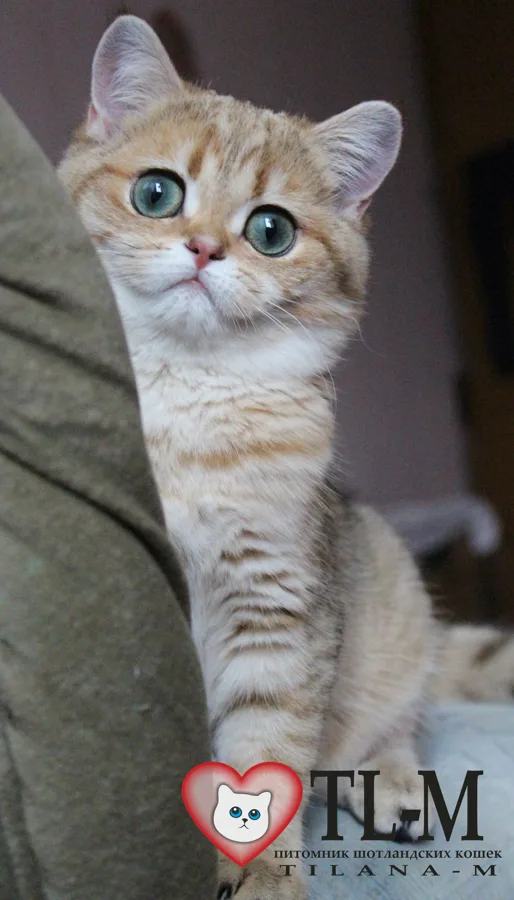 6 месяцев