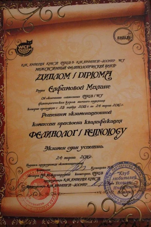 Документы
