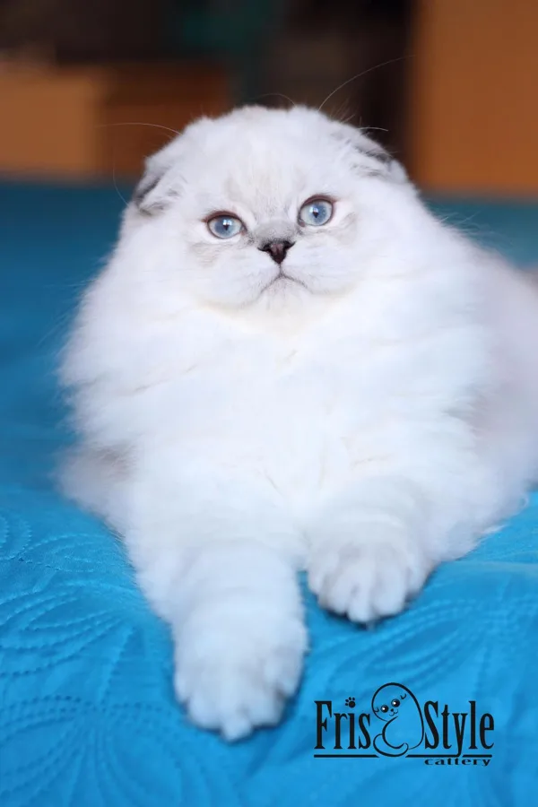 4 месяца